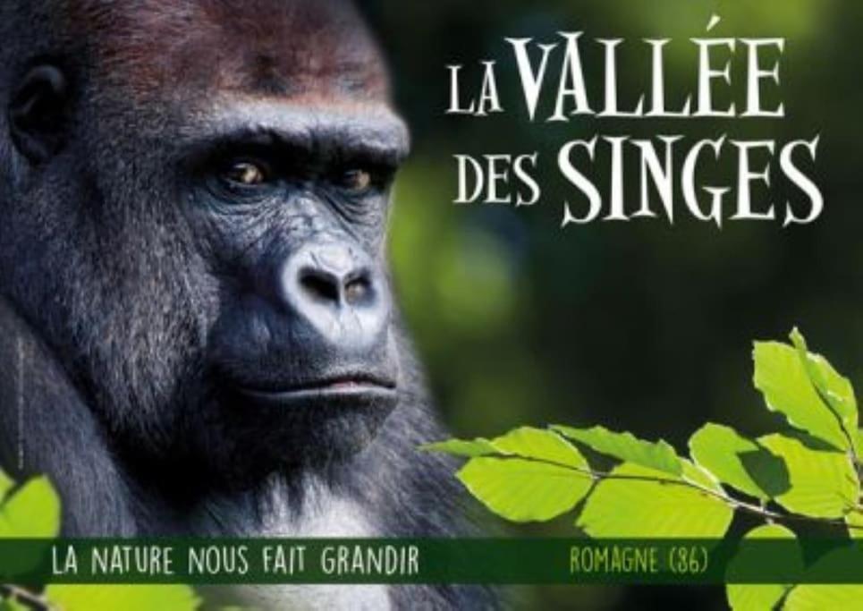 Gite Bin Benaise Draps Et Serviettes Compris Pamproux Kültér fotó